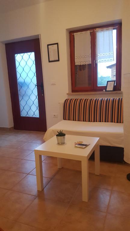Apartments Sorgo Novigrad Istria Esterno foto